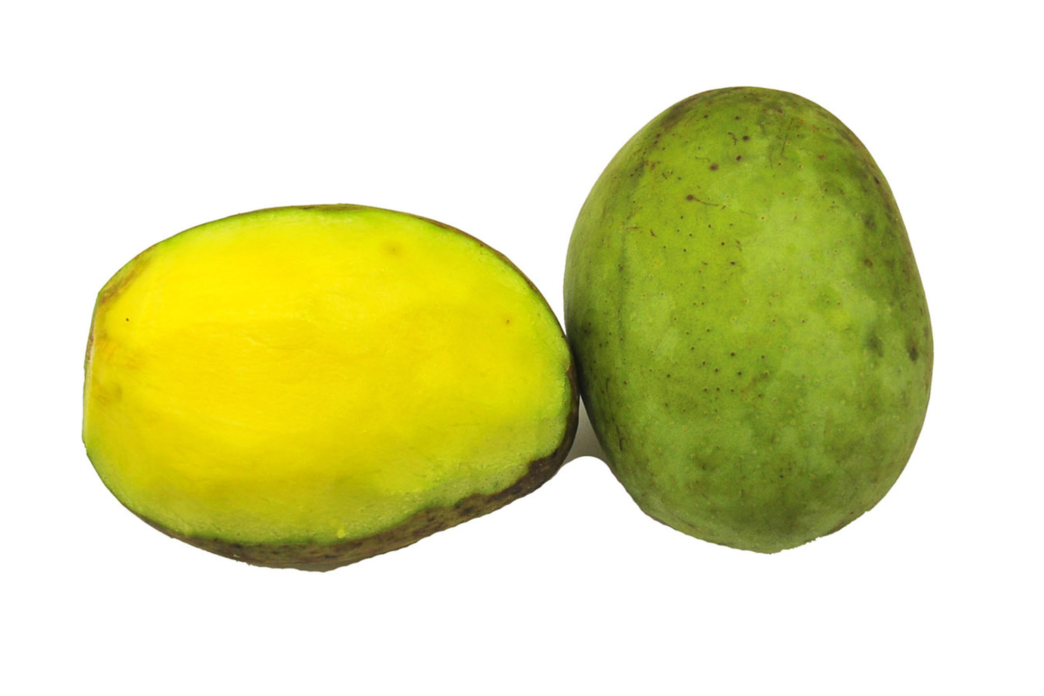 Photo of fruit Mangifera indica GlobinMed