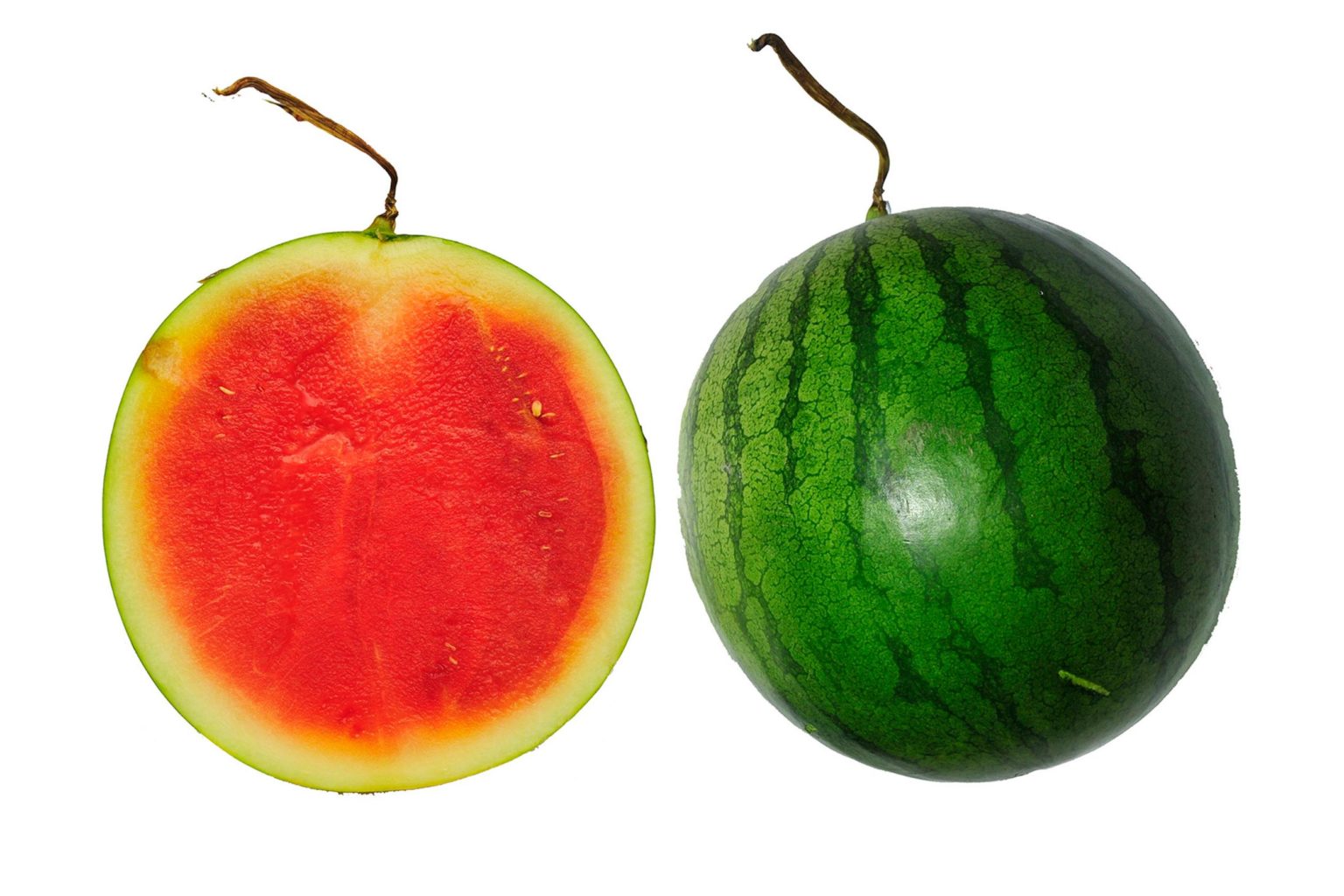 Photo of fruit: Citrullus lanatus - GlobinMed