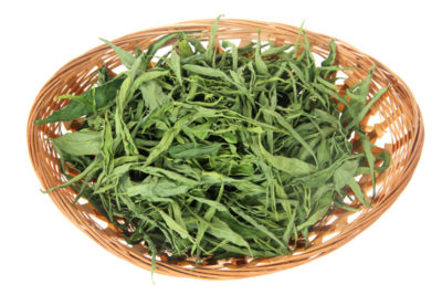 Clinacanthus nutans-07