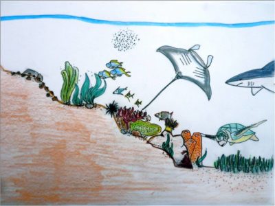 Picture7