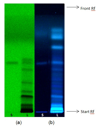 fig3